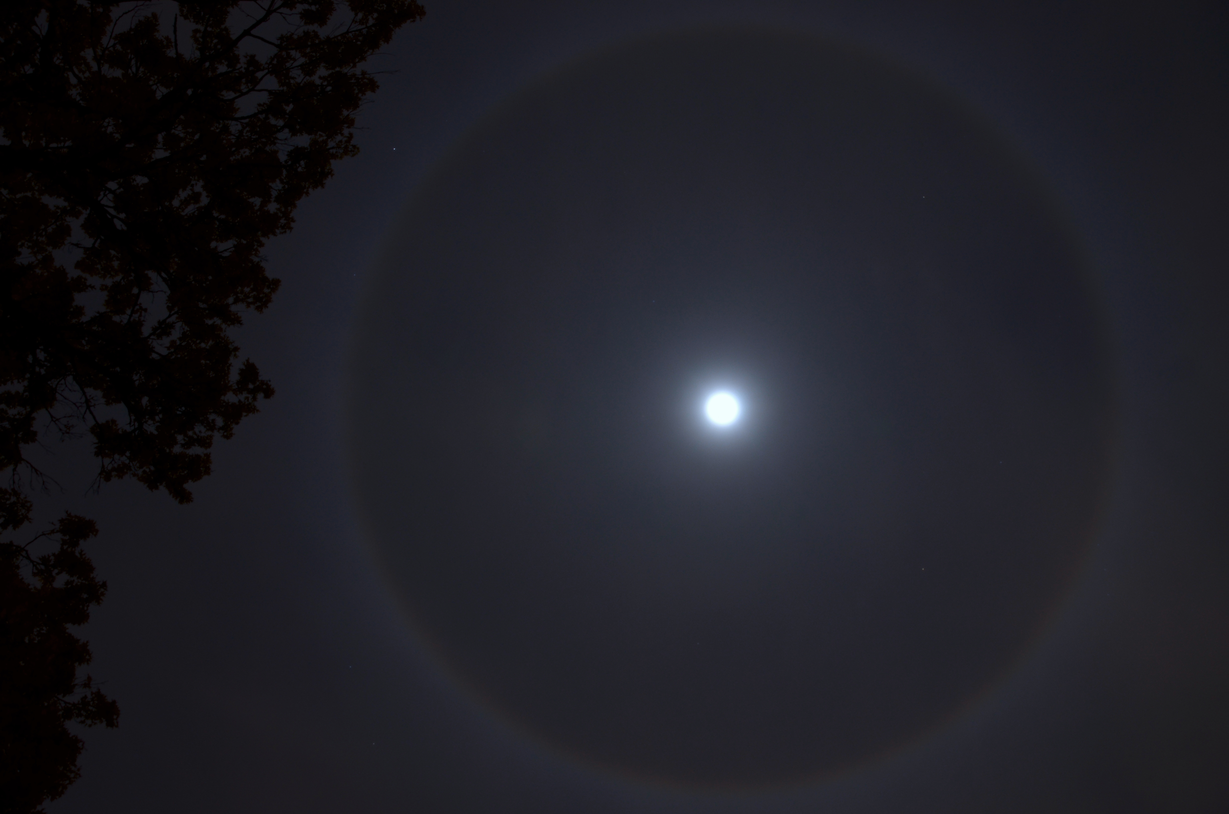 A Virginia photographer got this lunar halo shot. Turns out it was pretty  rare. - The Washington Post